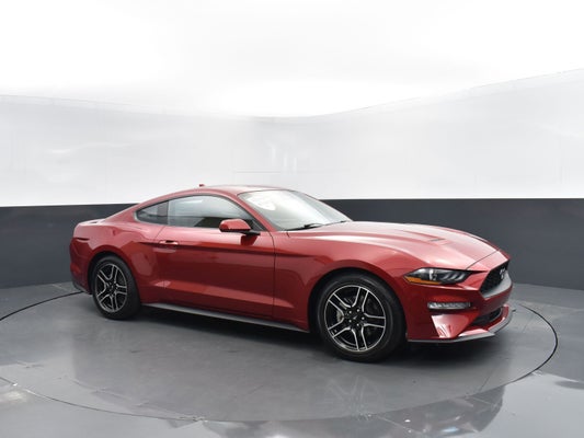 2021 Ford Mustang EcoBoost in Raleigh, NC - Maserati of Raleigh