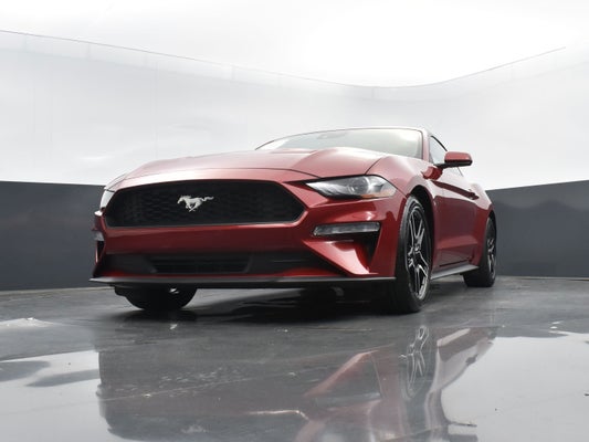 2021 Ford Mustang EcoBoost in Raleigh, NC - Maserati of Raleigh