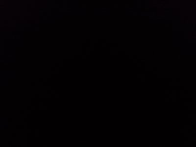 2024 Ford Mustang EcoBoost Premium Fastback