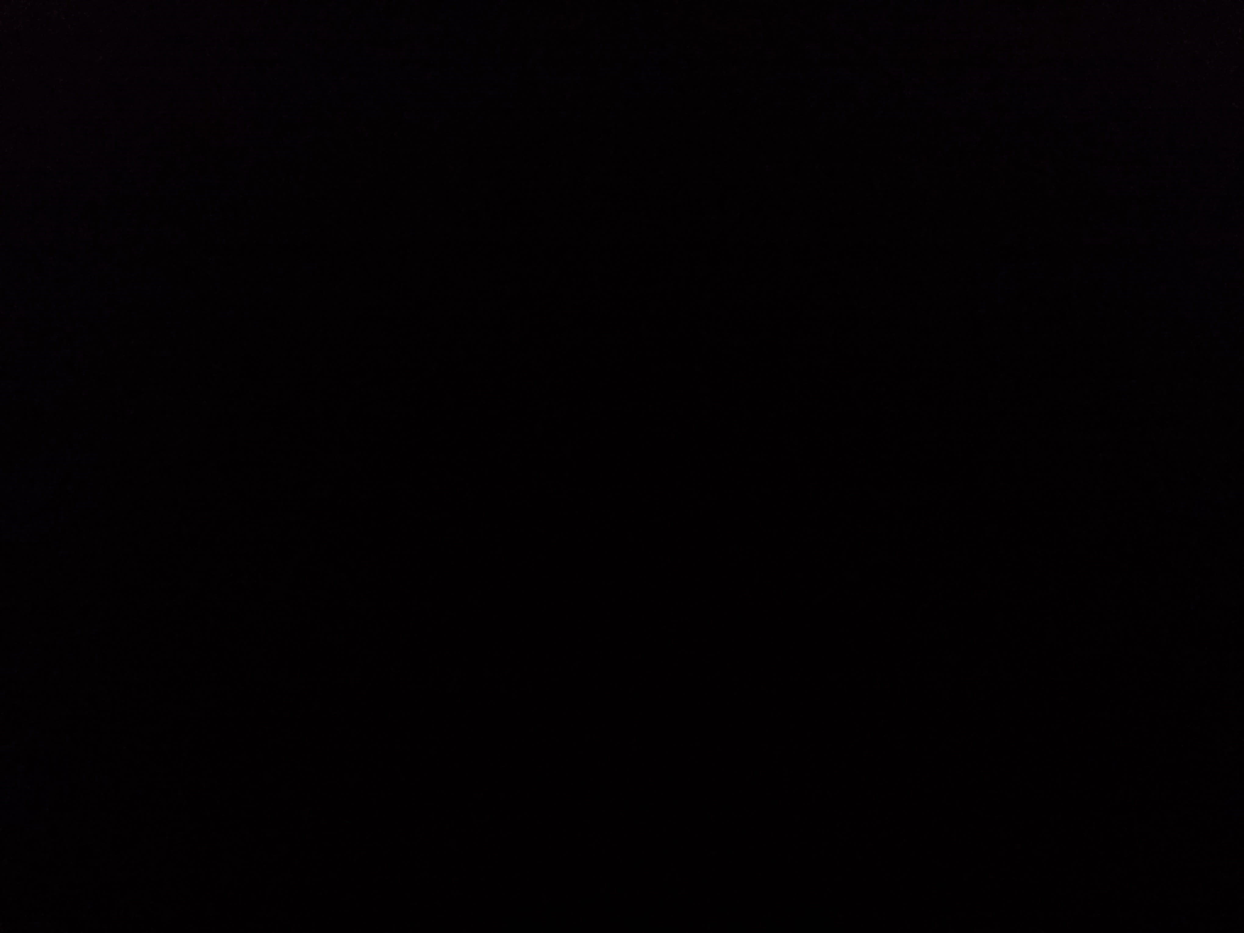 2024 Ford Mustang EcoBoost Premium Fastback