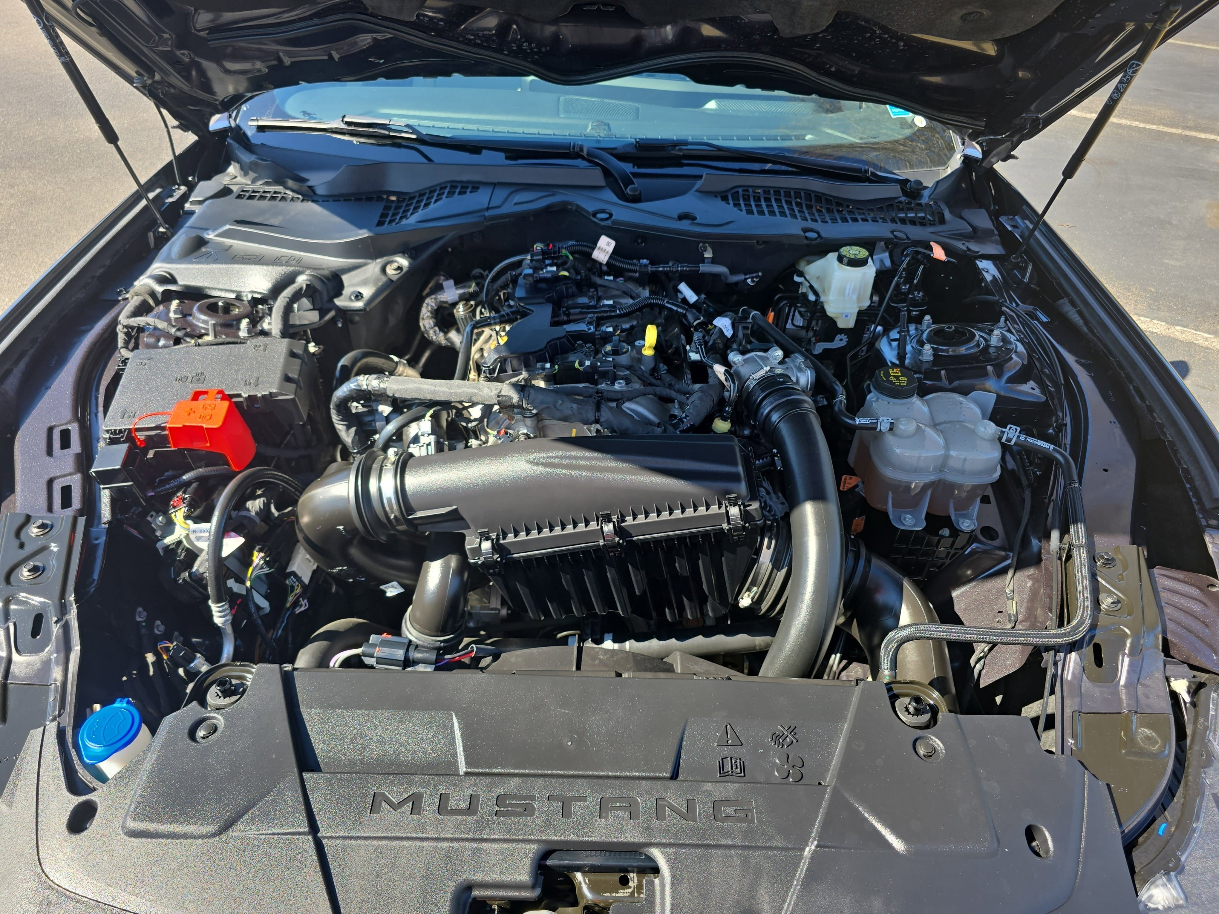 2024 Ford Mustang EcoBoost Premium Fastback