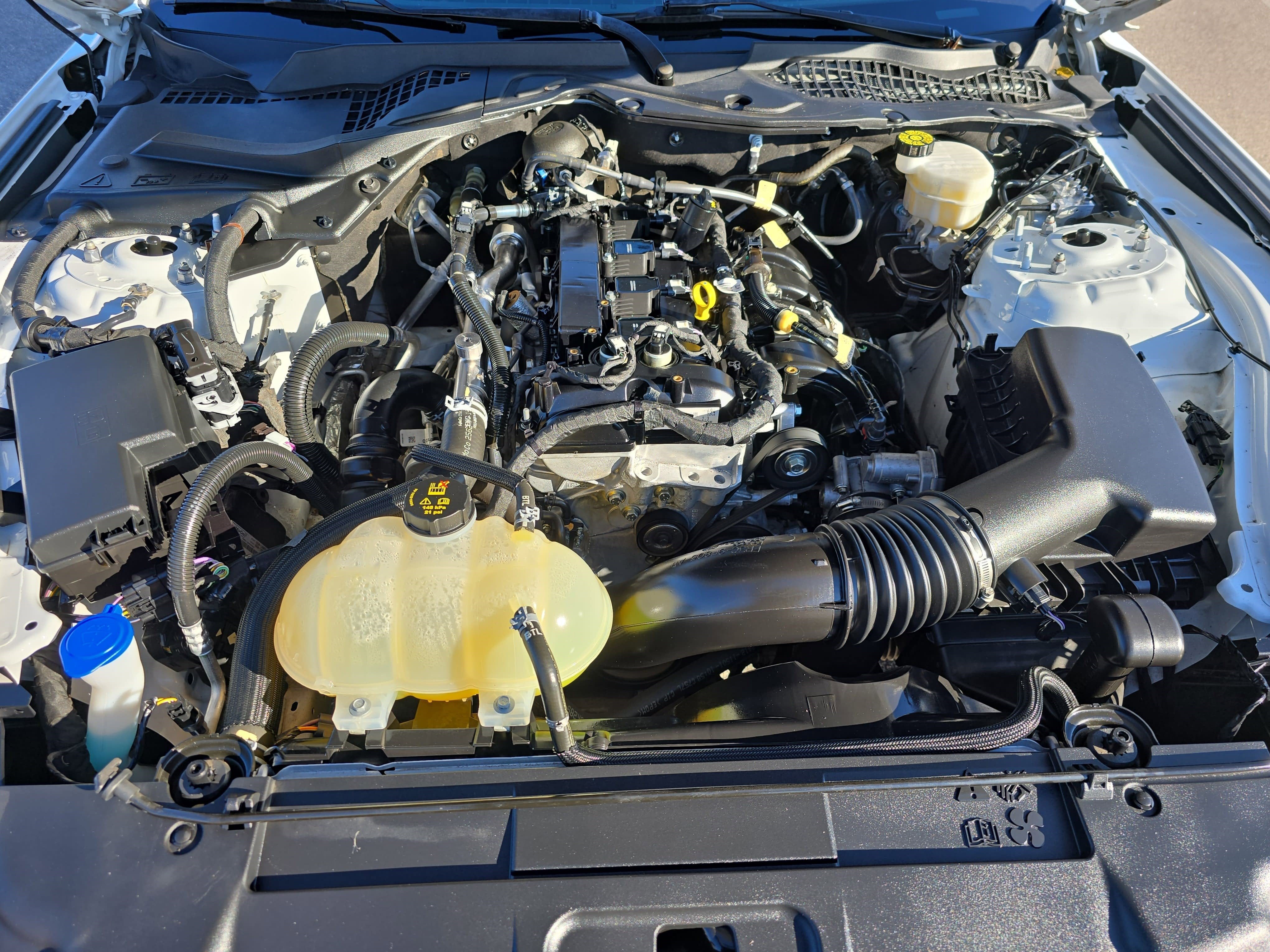 2022 Ford Mustang EcoBoost Premium Fastback