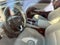 2019 Honda Accord EX-L 1.5T CVT