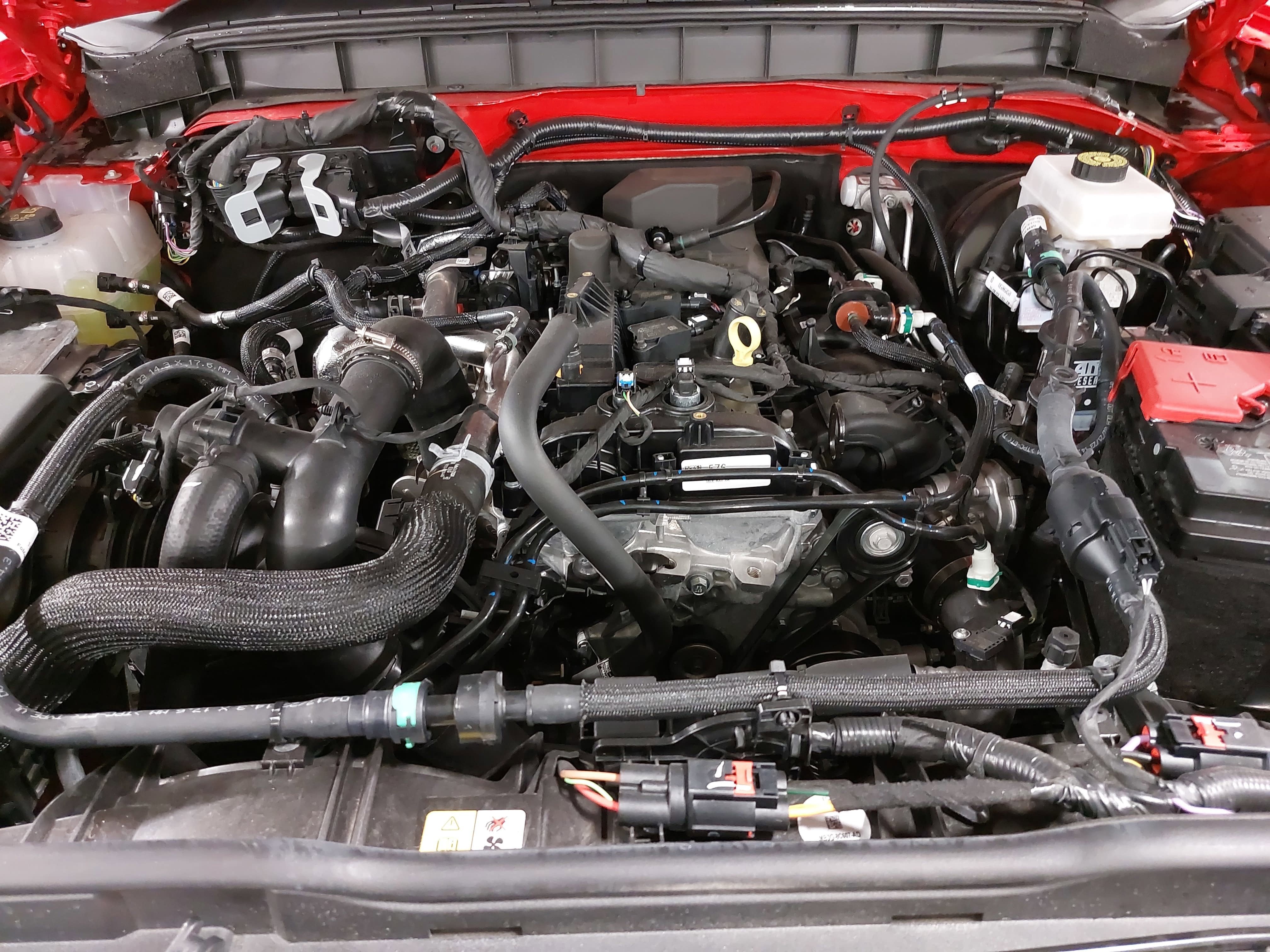 2023 Ford Bronco Everglades