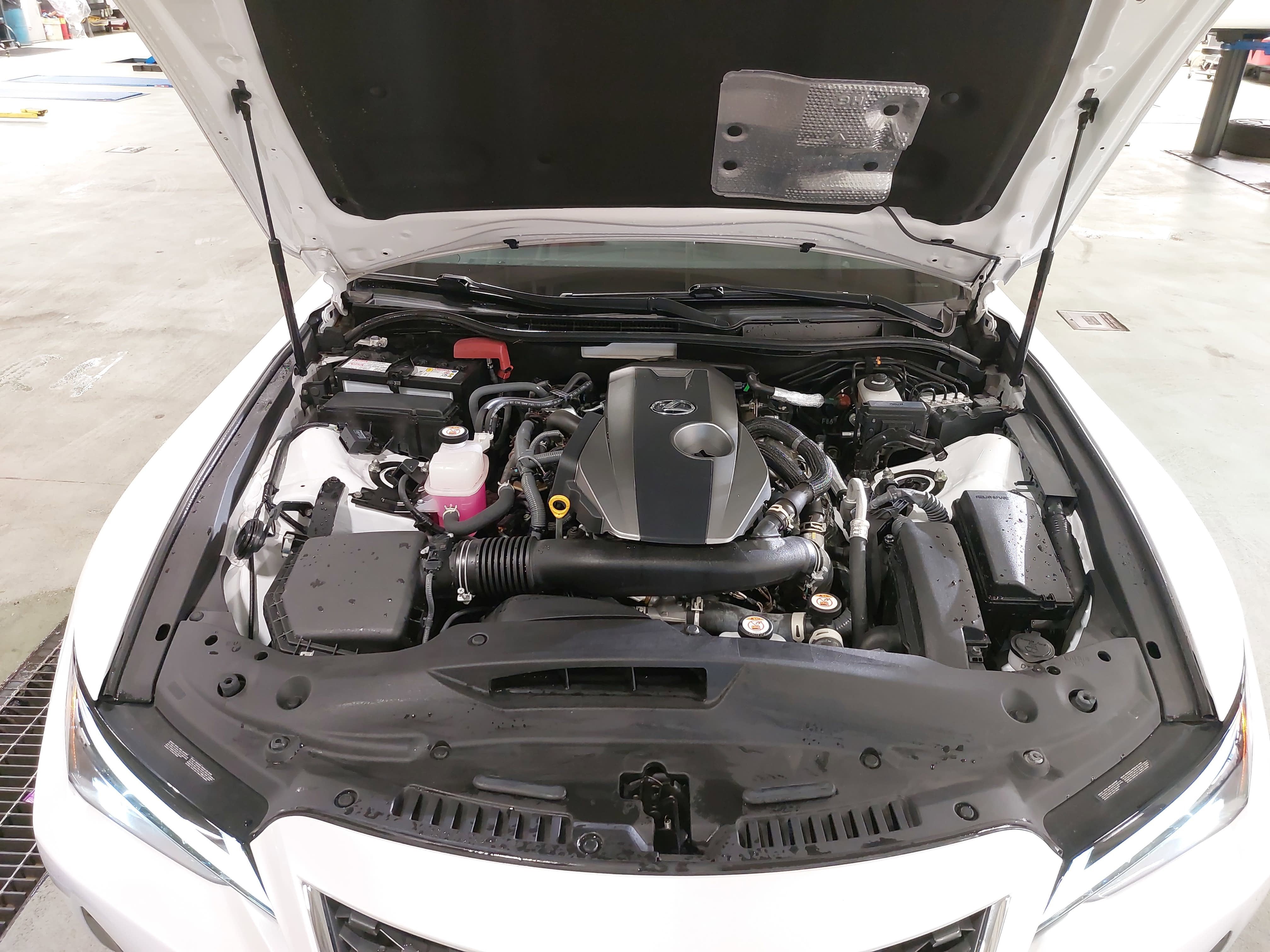 2023 Lexus IS IS 300