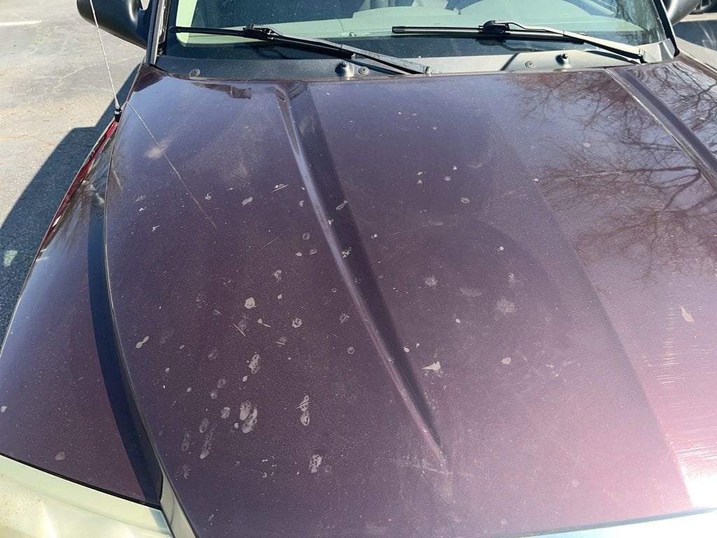 2005 Dodge Dakota Laramie