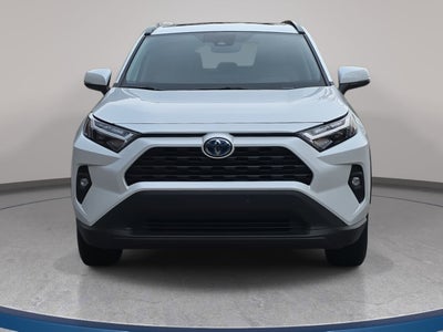 2024 Toyota RAV4 Hybrid Hybrid XLE Premium