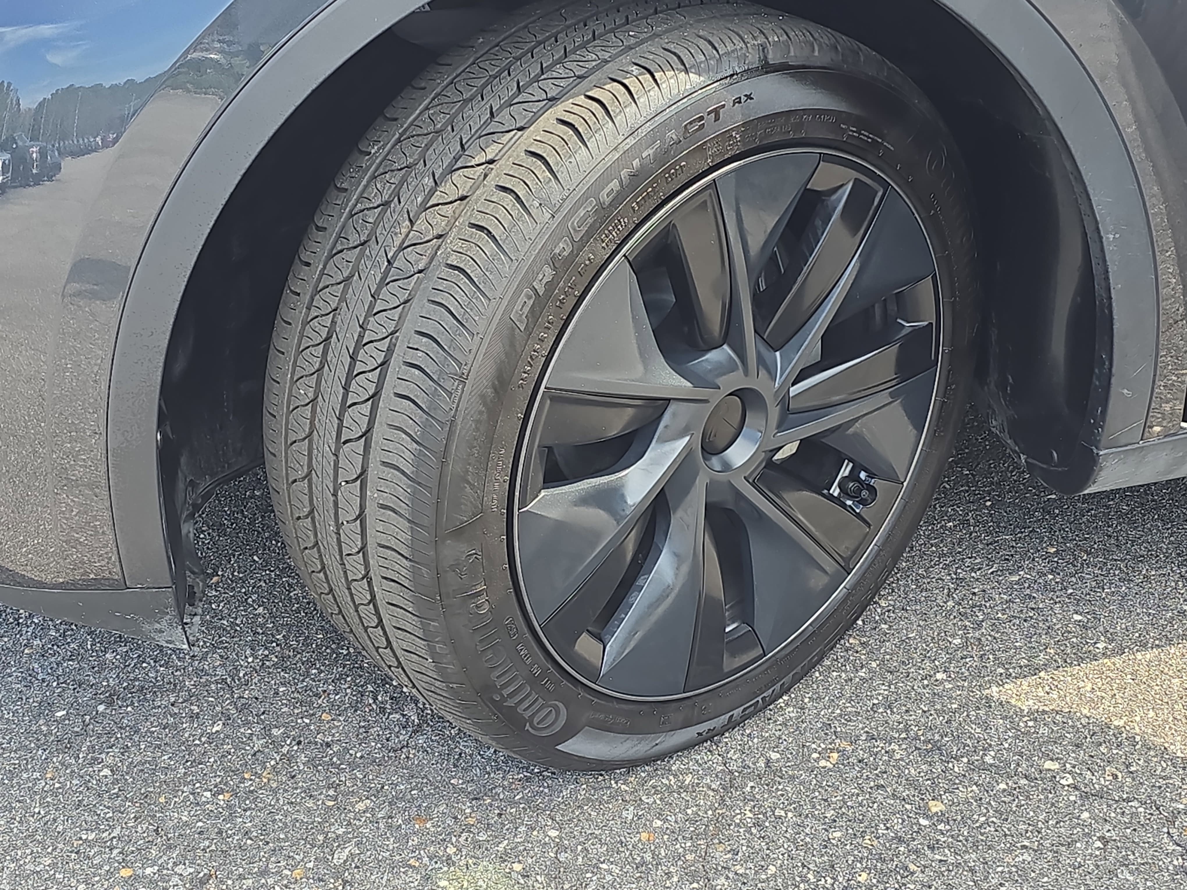 2025 Tesla Model Y Long Range