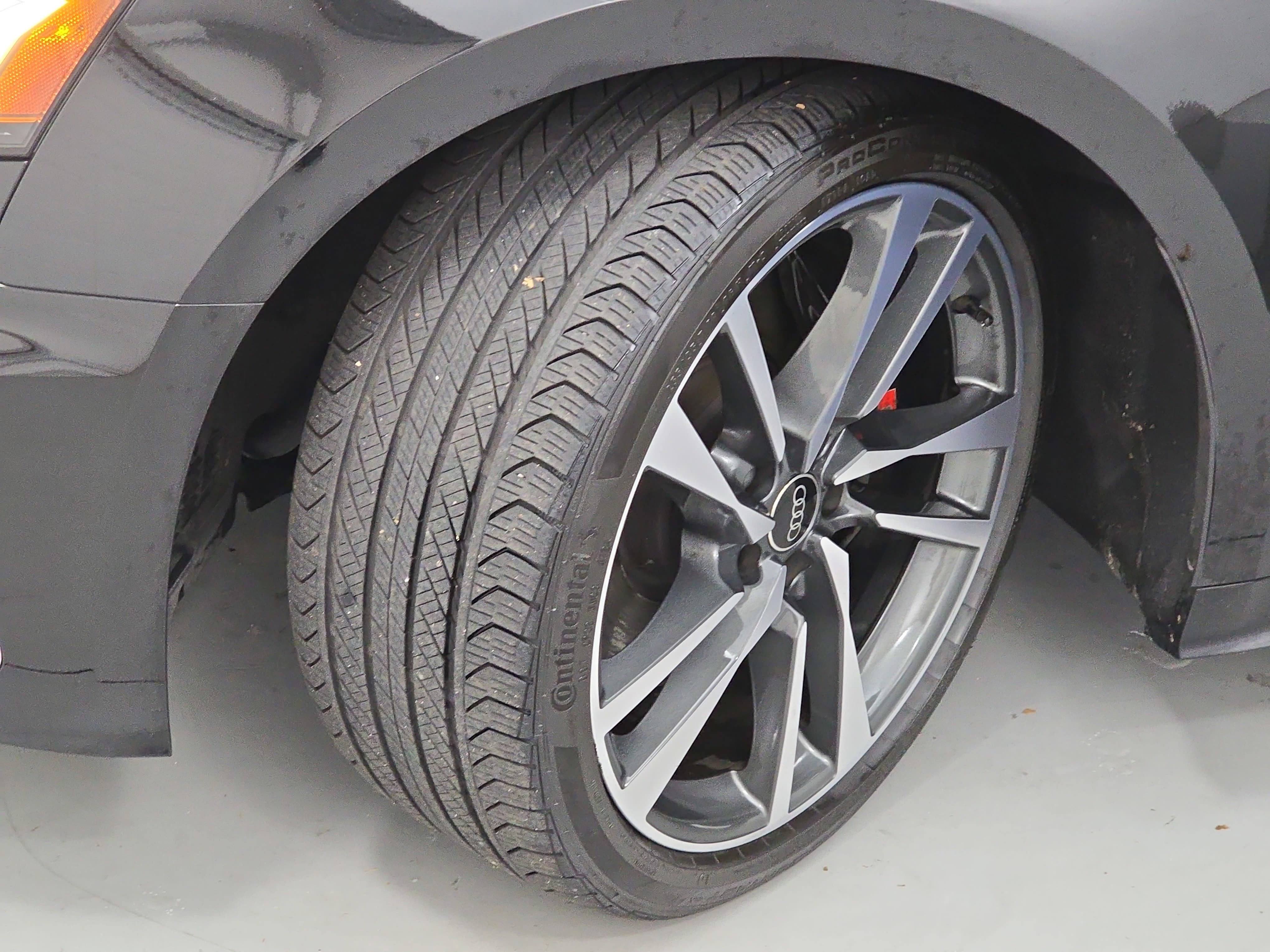 2025 Audi S5 Sportback Premium Plus