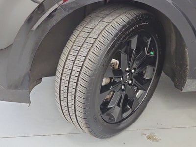 2024 Kia Carnival SX