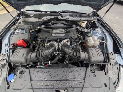 2024 Ford Mustang Dark Horse