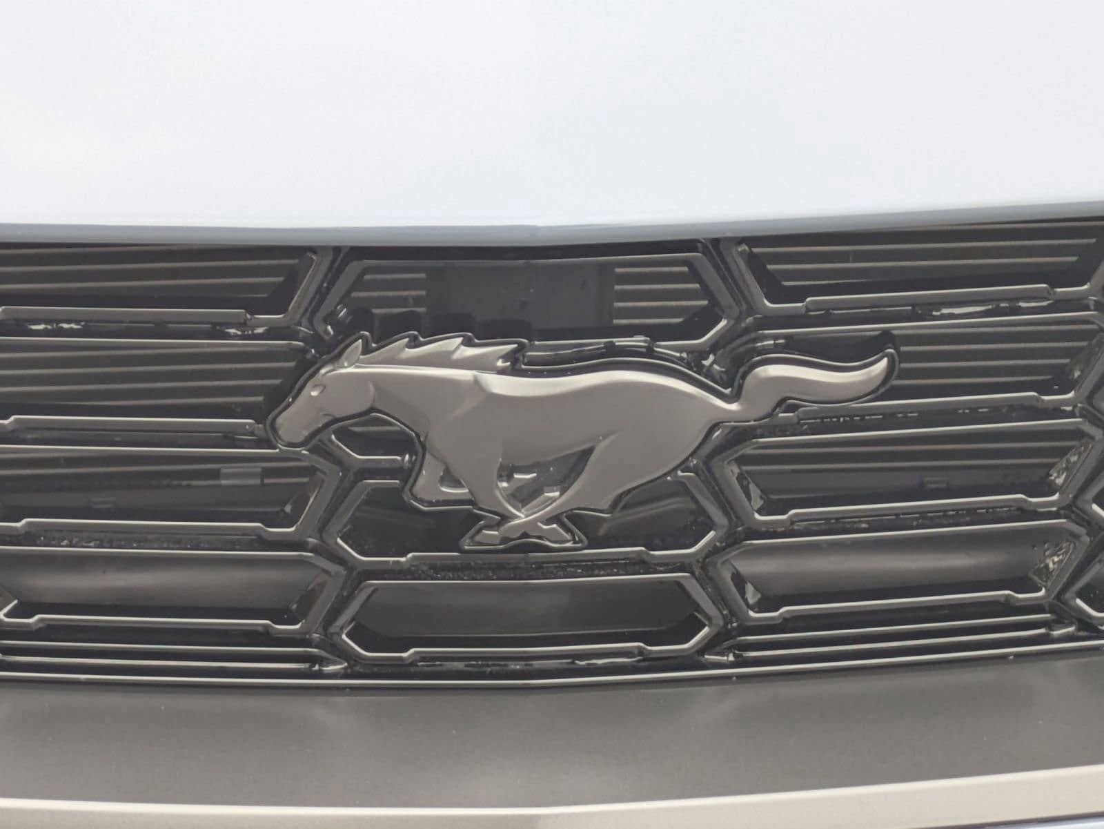 2024 Ford Mustang Dark Horse