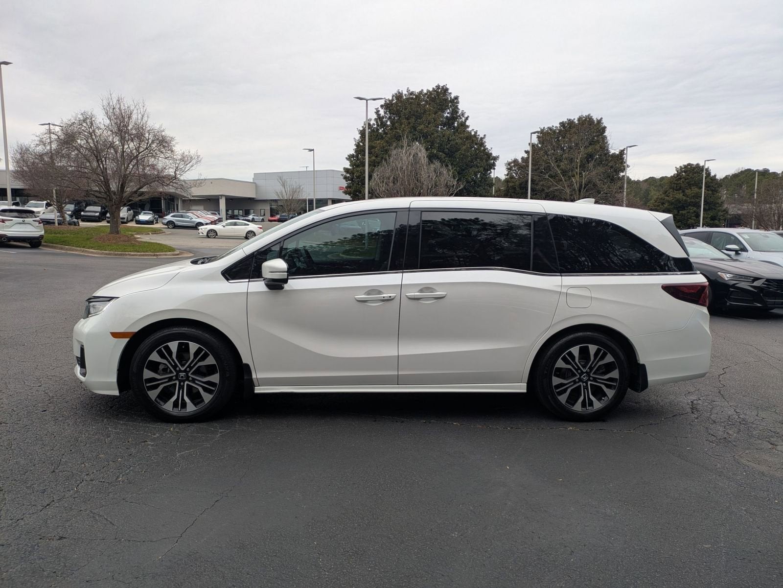 2025 Honda Odyssey Elite