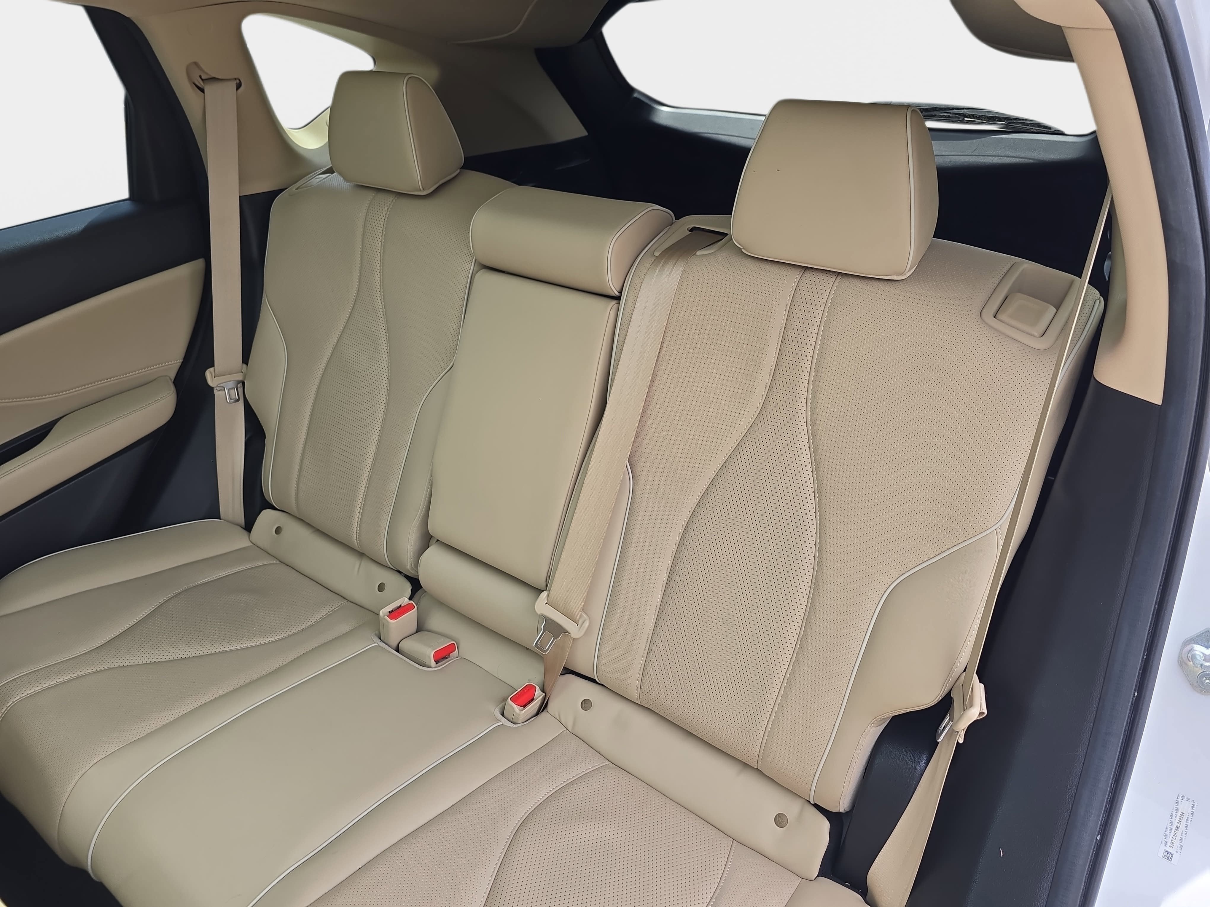 2021 Acura RDX w/Advance Package