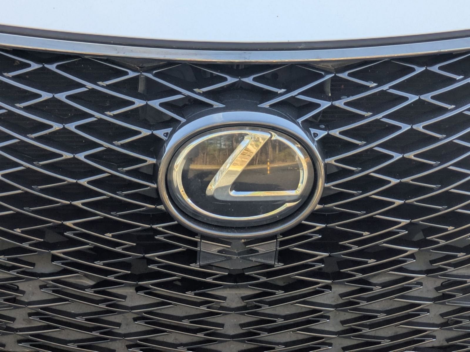 2021 Lexus NX NX 300 F SPORT
