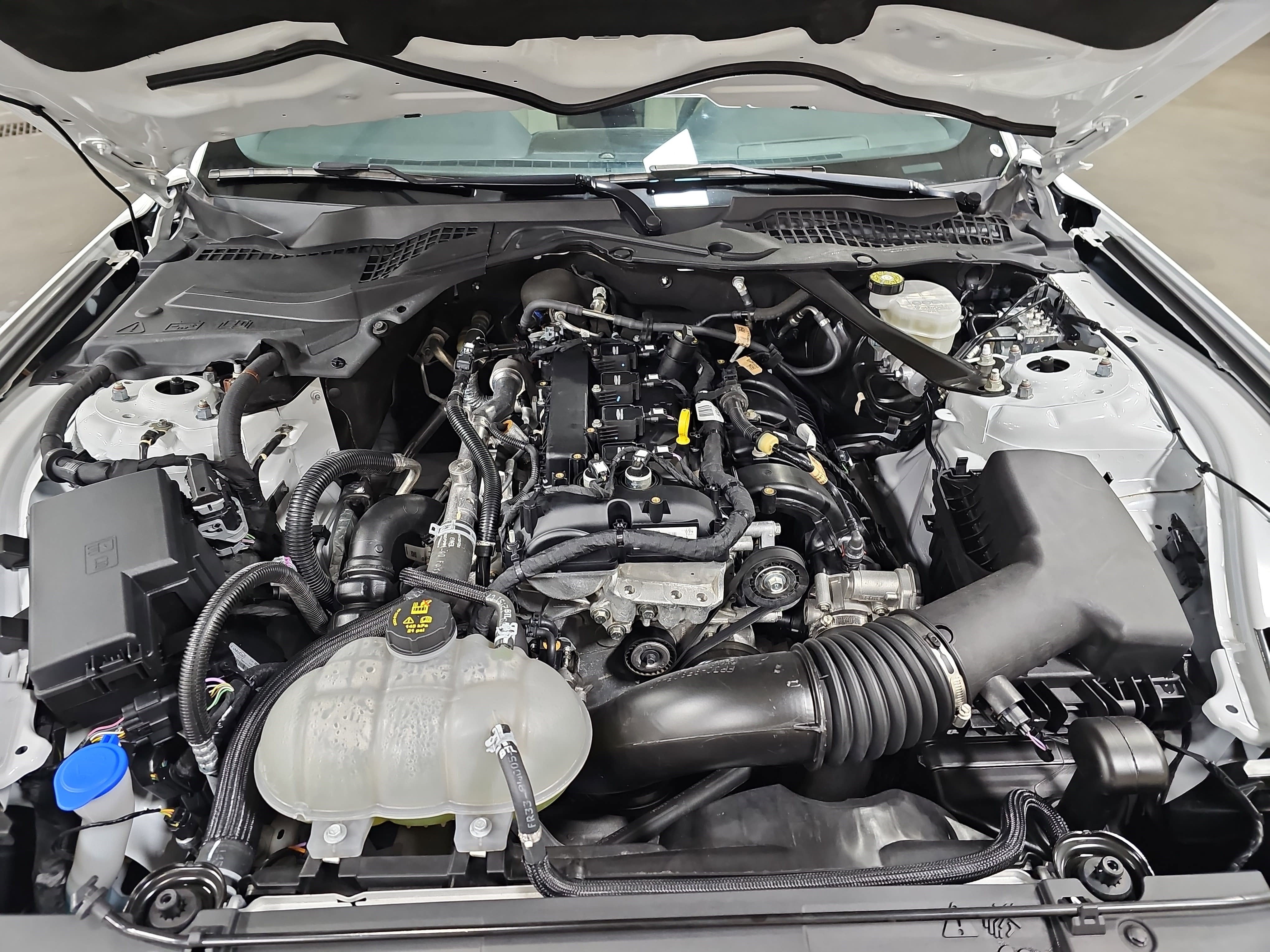 2023 Ford Mustang EcoBoost