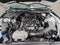 2023 Ford Mustang EcoBoost
