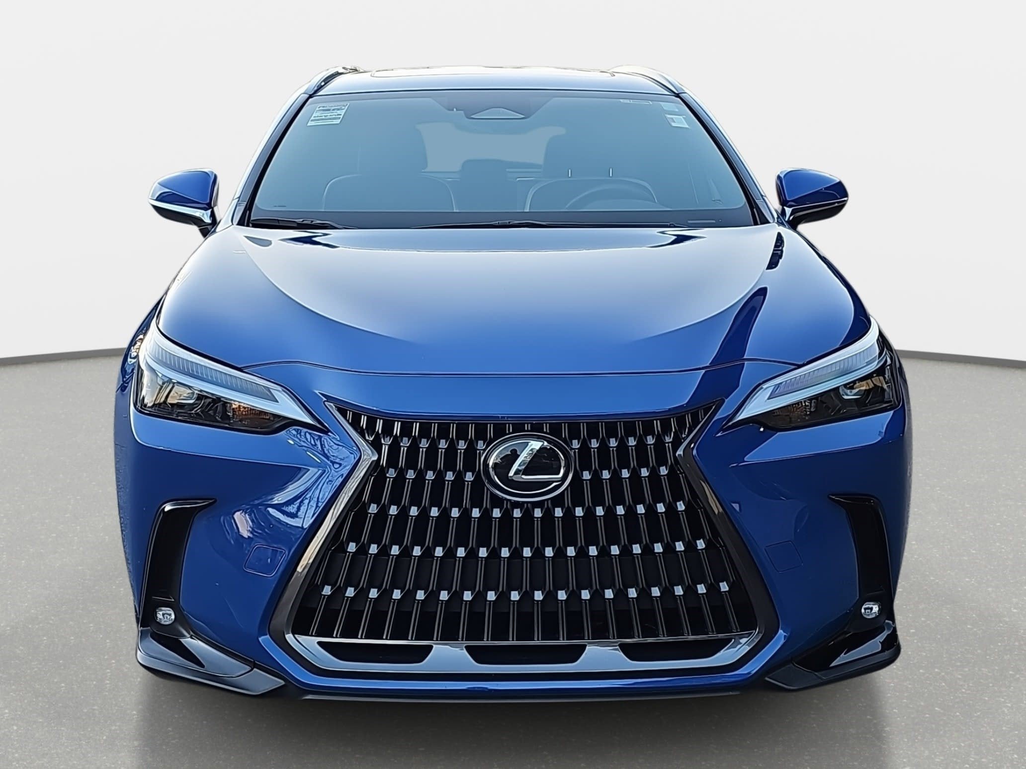 2024 Lexus NX NX 250