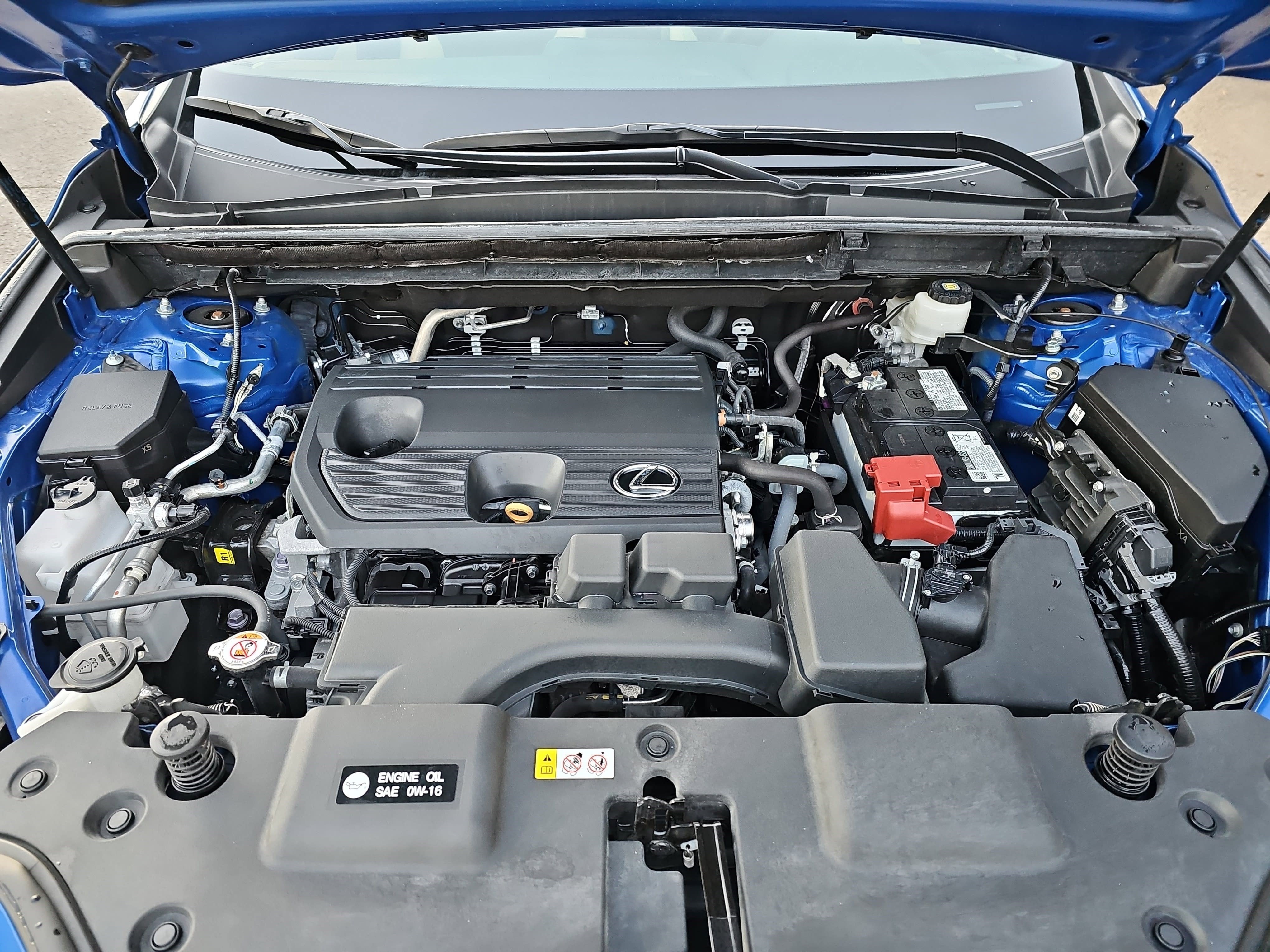 2024 Lexus NX NX 250