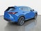 2024 Lexus NX NX 250