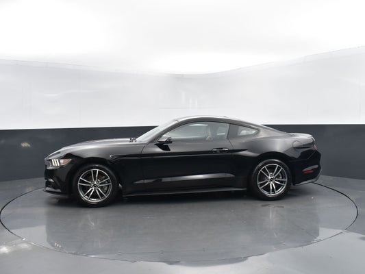 2015 Ford Mustang 2dr Fastback EcoBoost in Raleigh, NC - Maserati of Raleigh
