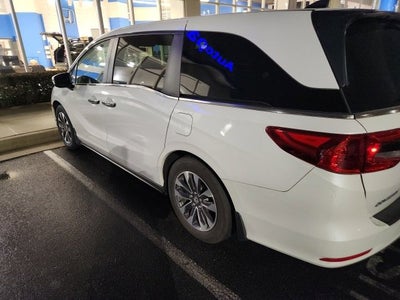 2024 Honda Odyssey EX-L