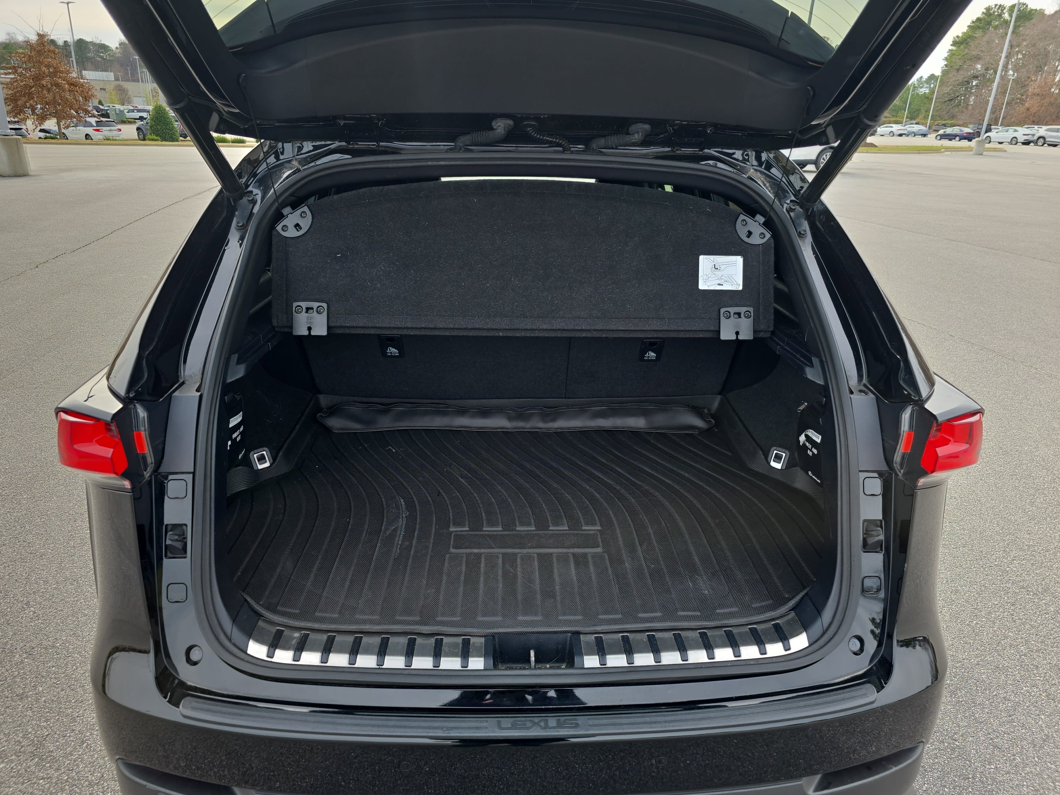 2021 Lexus NX NX 300 F SPORT