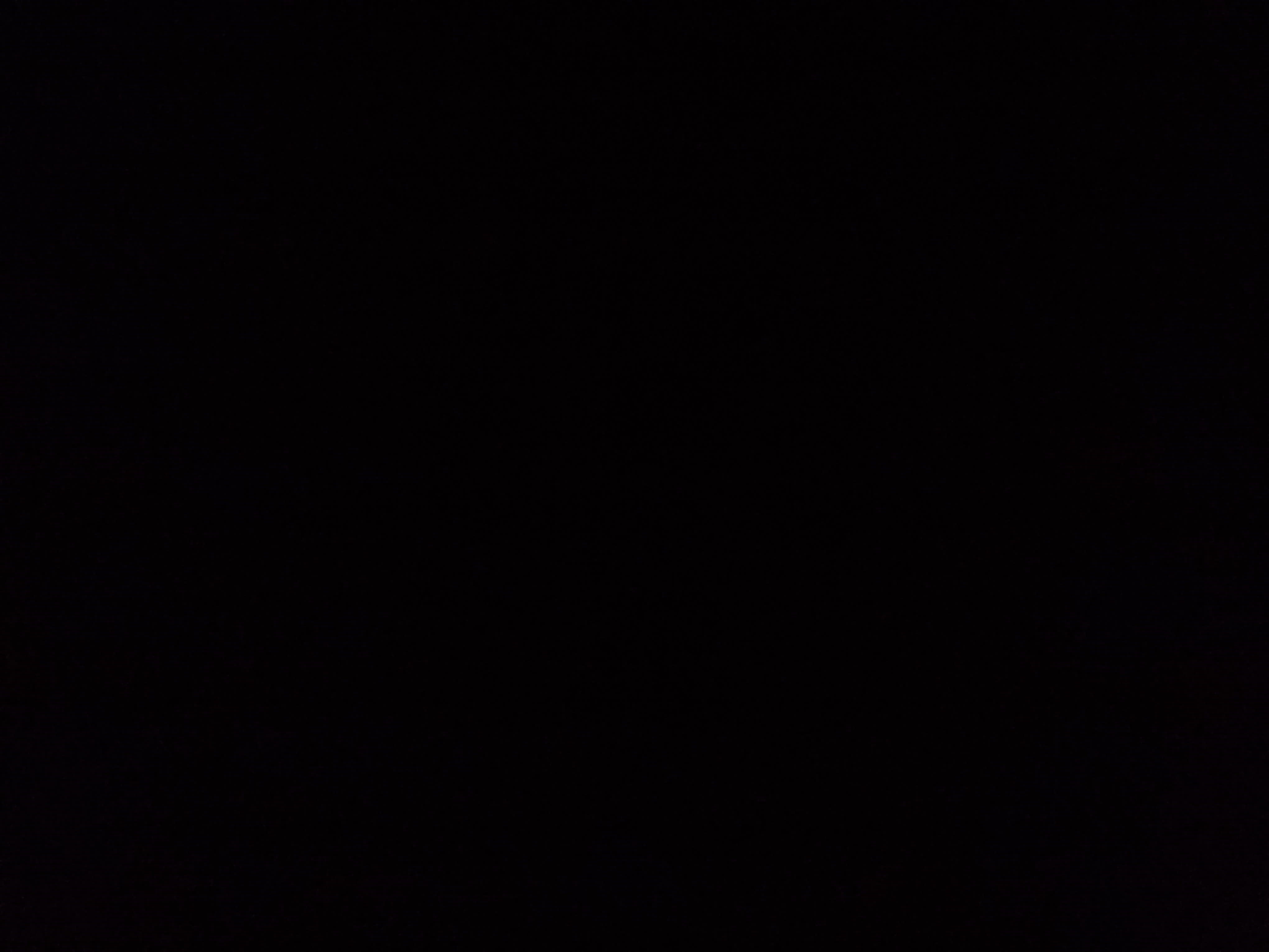 2025 Audi RS 7 performance