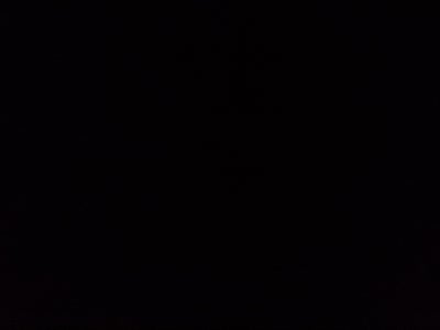 2025 Audi RS 7 performance