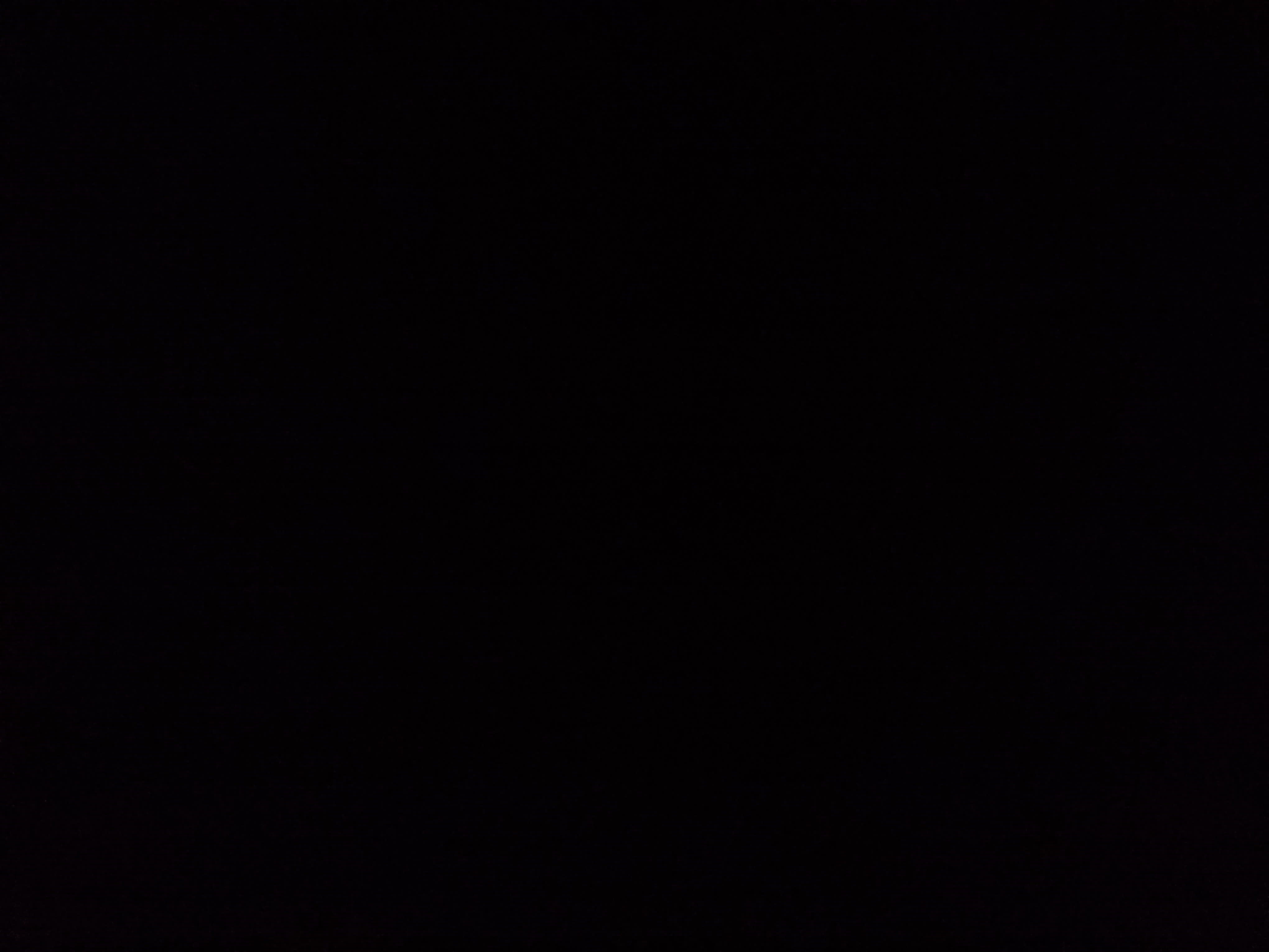 2025 Audi RS 7 performance