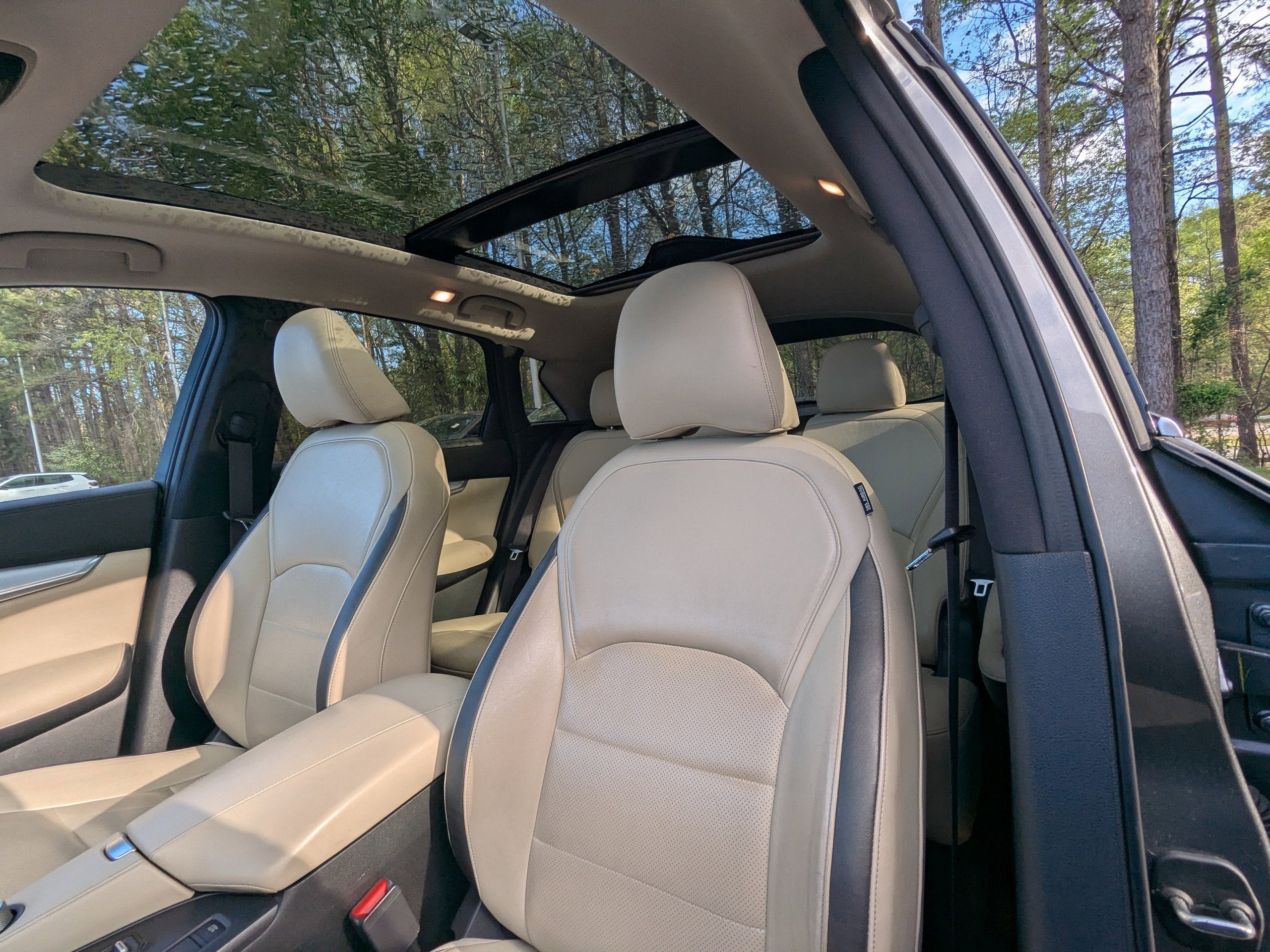 2019 INFINITI QX50 ESSENTIAL