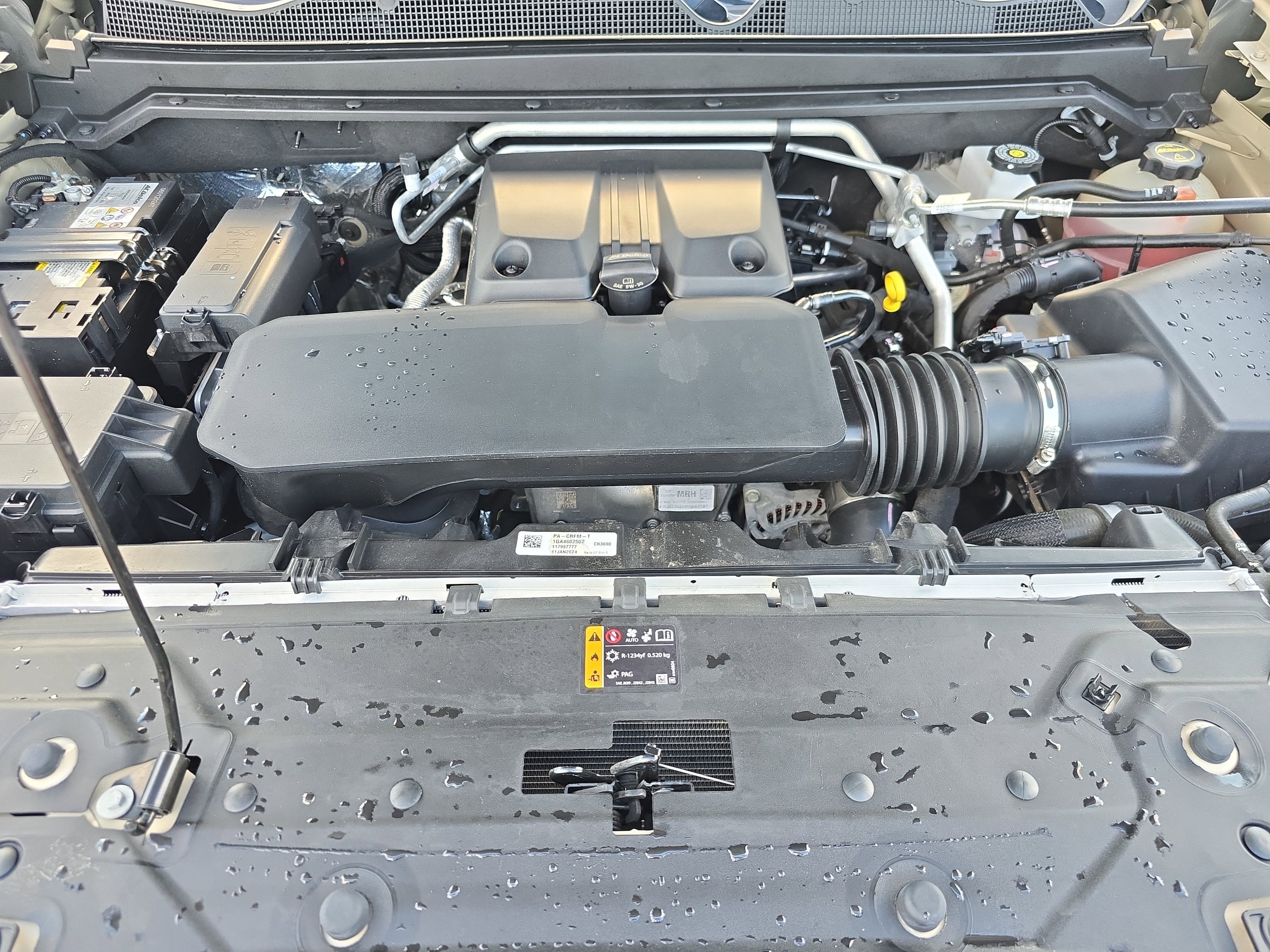 2024 Chevrolet Colorado 4WD Trail Boss