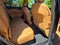 2023 Jeep Grand Cherokee Summit Reserve