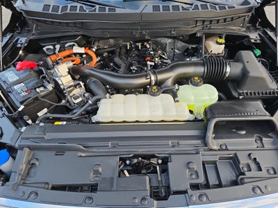 2024 Ford F-150 King Ranch