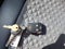 2016 Chevrolet Colorado 4WD Z71