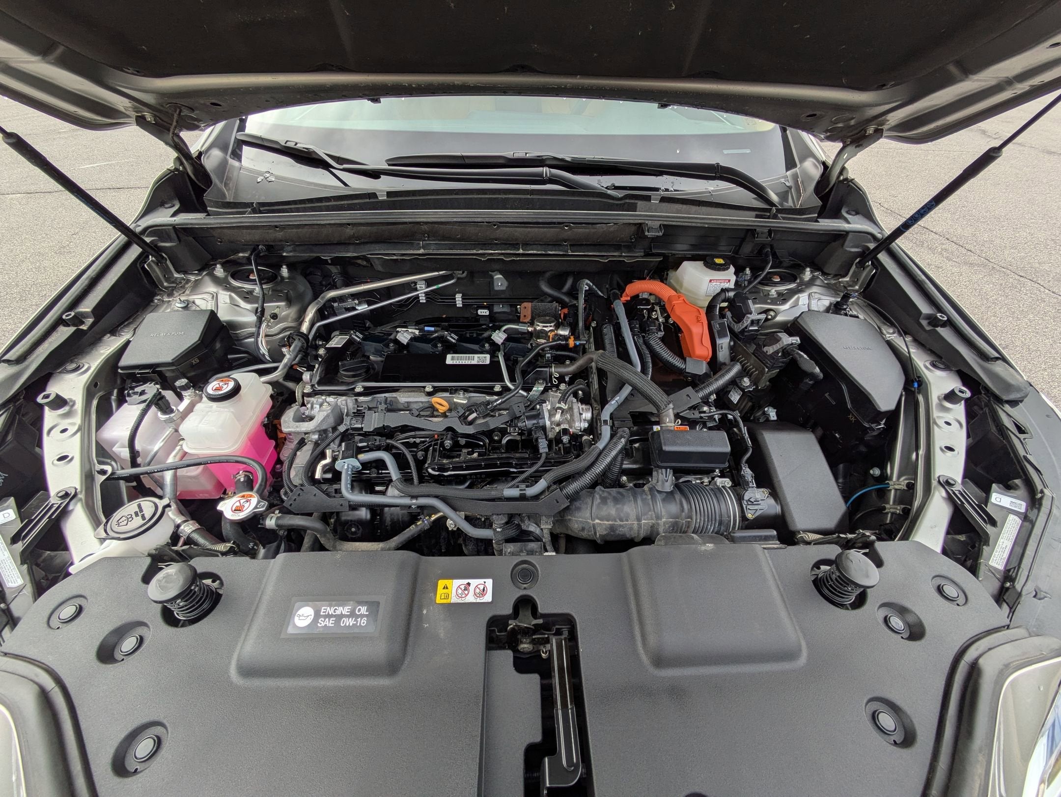 2024 Lexus NX NX 350h