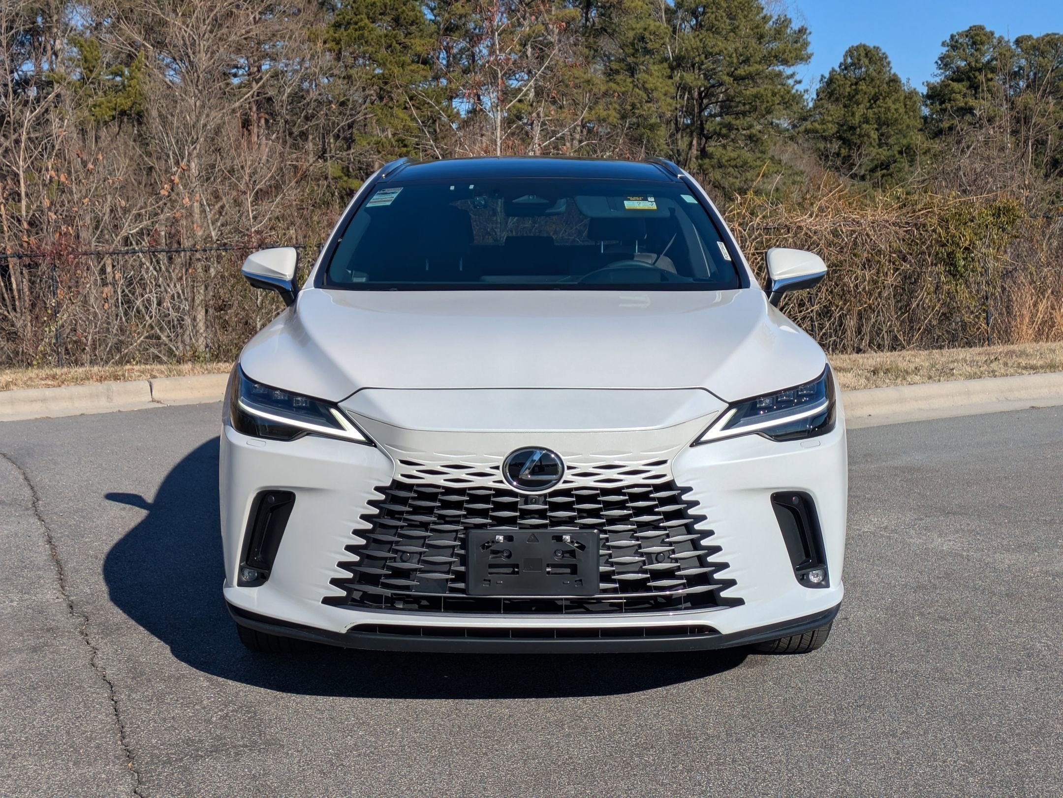 2023 Lexus RX RX 350 Luxury