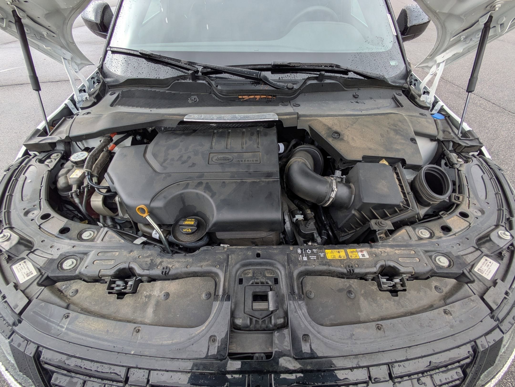 2024 Land Rover Range Rover Evoque Dynamic SE