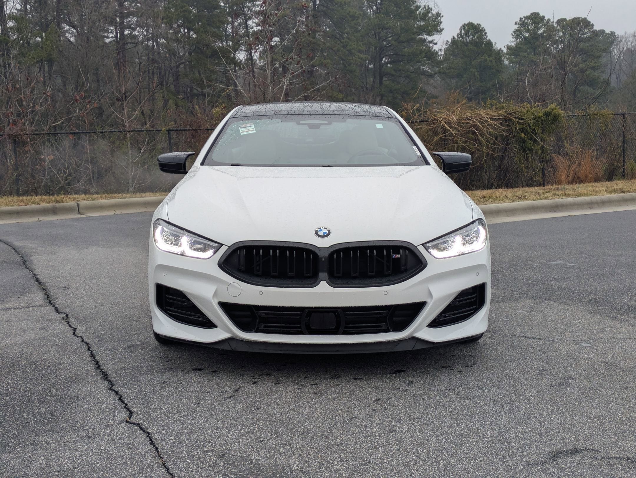 2025 BMW 8 Series M850i