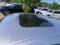 2024 Honda Accord Sedan EX CVT