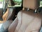 2023 Acura MDX SH-AWD w/Technology Package